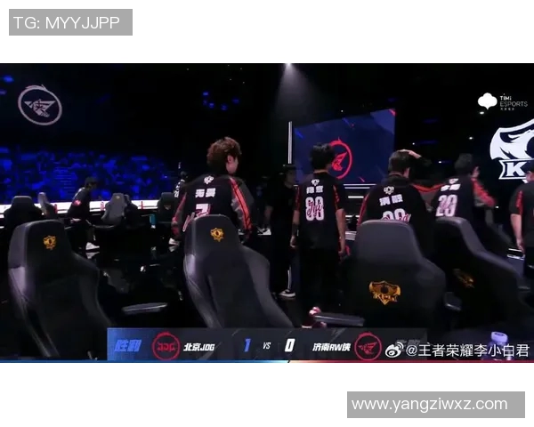 王者荣耀团队协作新高峰JDG战队展现卓越团队精神与默契配合