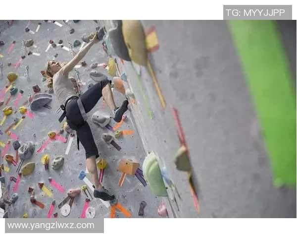 成都攀岩队勇攀高峰的奋斗故事与极限运动会的精彩瞬间