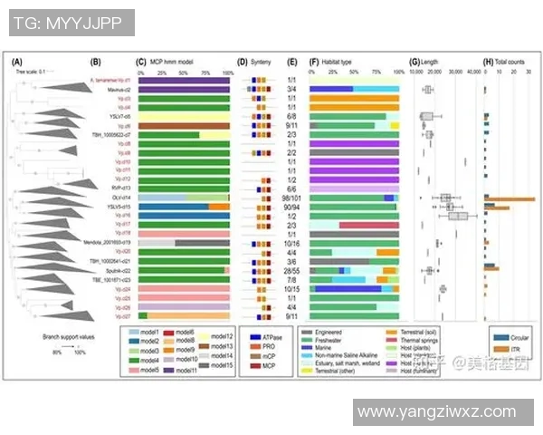 数据分析揭示WE团队成员个人能力的全面表现与提升空间