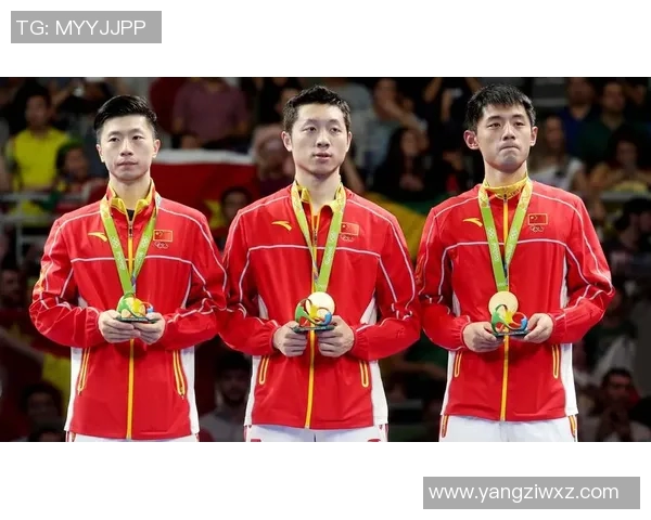 南京乒乓球队夺冠最新乒乓球速度TOP10榜单揭晓