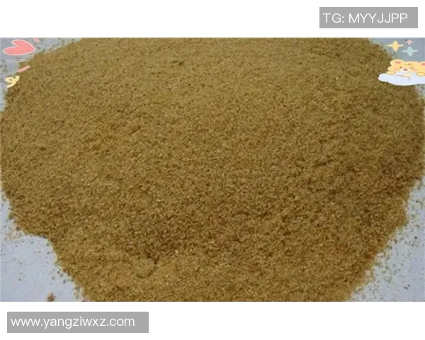 刘敏独家分享网球心得与技巧助你提升球技的全面指南