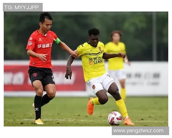 成都乒乓球队技术争议引发热议球迷与专家各执己见探讨发展方向