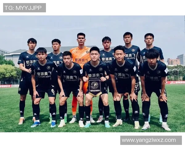 上海排球队比赛经验分析与数据洞察的深入探讨 上海排球队比赛经验分析与数据洞察的深入探讨