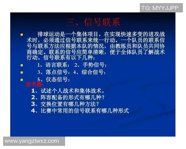 杭州排球队的转换打法深度解析与战术创新探讨