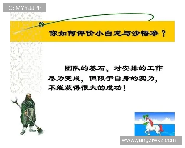 武汉羽毛球队在精英赛中的团队协作表现分析与启示