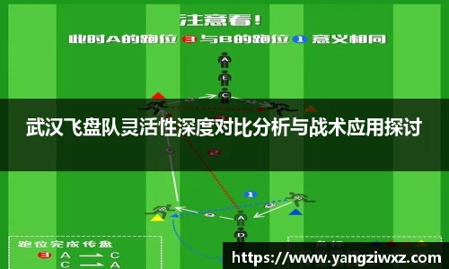 武汉飞盘队灵活性深度对比分析与战术应用探讨