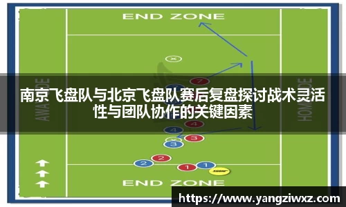 南京飞盘队与北京飞盘队赛后复盘探讨战术灵活性与团队协作的关键因素
