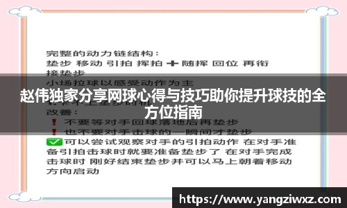 赵伟独家分享网球心得与技巧助你提升球技的全方位指南